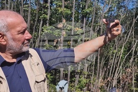 Търговище - Мисионис - нови находки