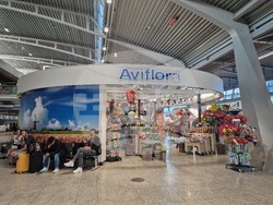 Нидерландия - летище „Айндховен“