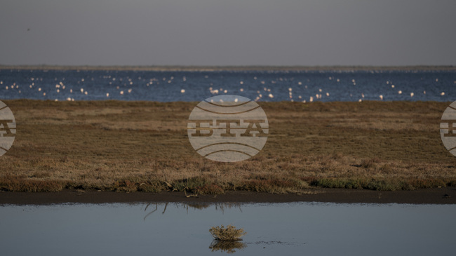 Над 100 хил. декара са залети в Североизточна Гърция заради високите води на Марица и притоците ѝ