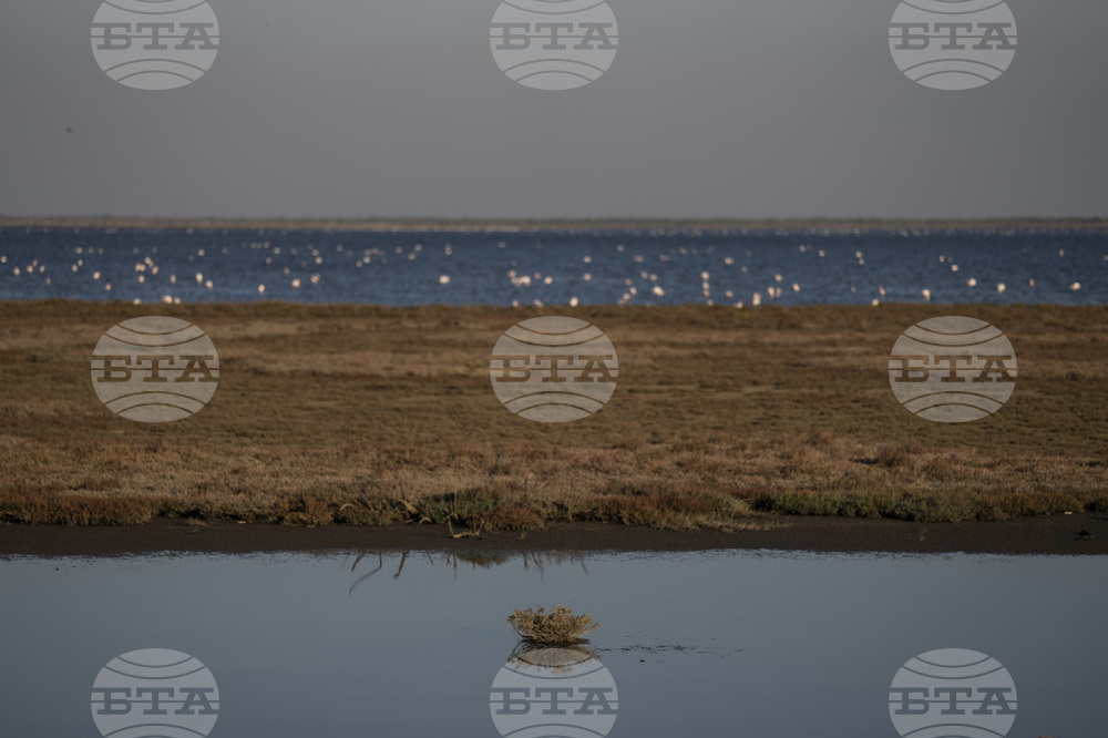 Над 100 хил. декара са залети в Североизточна Гърция заради високите води на Марица и притоците ѝ