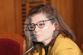 Министерство на отбраната - пресконференция