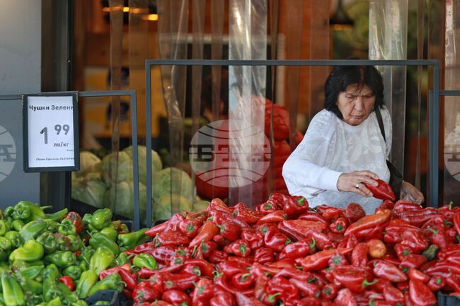Средната заплата в България през третото тримесечие е 2549 лв., съобщи социалното министерство