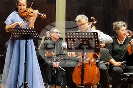 Видин - Симфониета - концерт