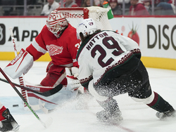 Coyotes Red Wings Hockey