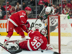Coyotes Red Wings Hockey