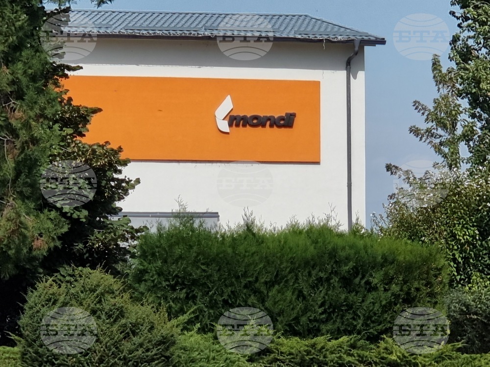Стамболийски - погасен пожар в предприятие Монди