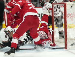Coyotes Red Wings Hockey