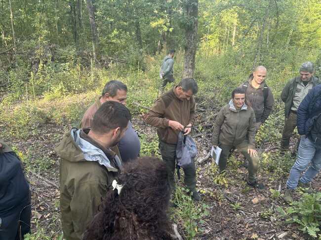 Изпълнителна агенция по горите: Горски експерти прилагат нова методика за оценка на възобновяването и развитието на подраста