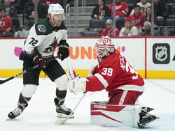 Coyotes Red Wings Hockey