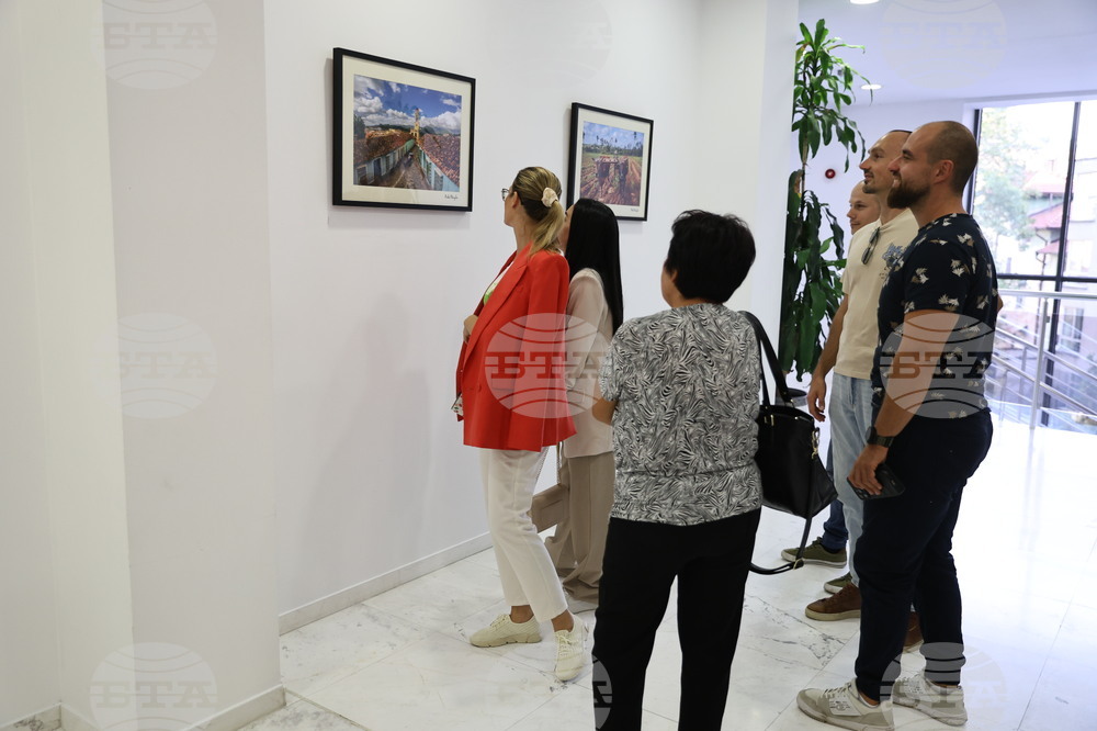 Пловдив - Минко Михайлов - изложба