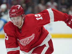 Coyotes Red Wings Hockey