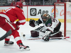 Coyotes Red Wings Hockey