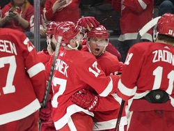 Coyotes Red Wings Hockey