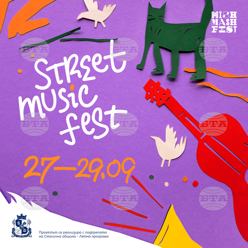 Столична община: Второ издание на Street Music Fest