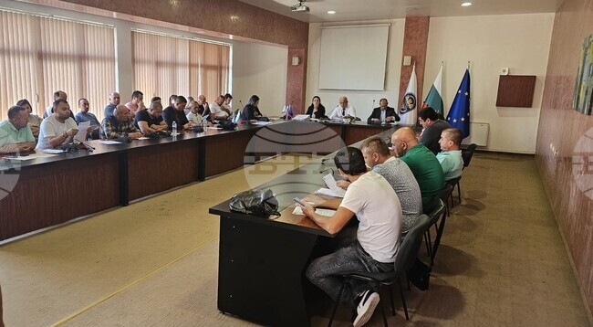 Кметът на община Стамболово предлага за дървесината, която ще се добие от общинските горски територии през 2025 година, да бъде обявен търг