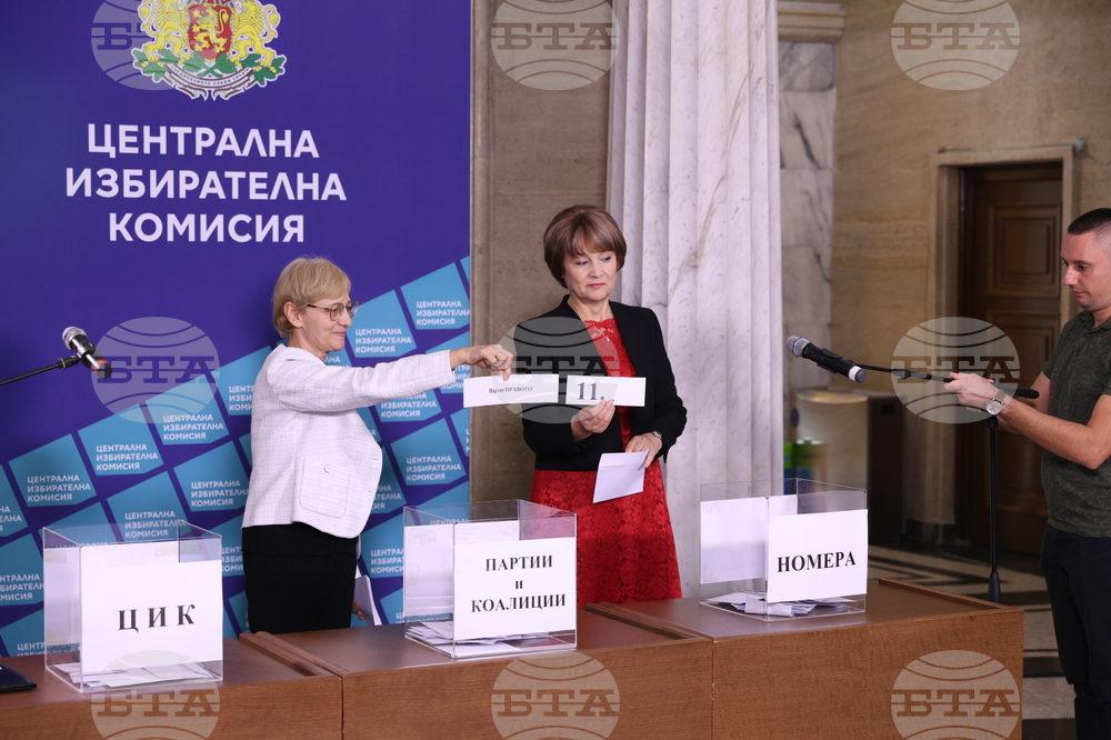 ЦИК - избори - жребий - Камелия Нейкова