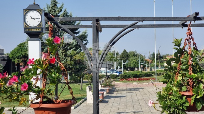 Общинският съвет в Стралджа прие промени в наредбите за обществения ред и регистрацията на превозни средства с животинска тяга