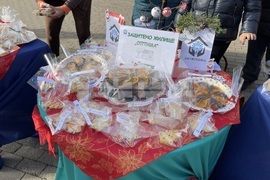 Казанлък - фестивал на коледарските състави