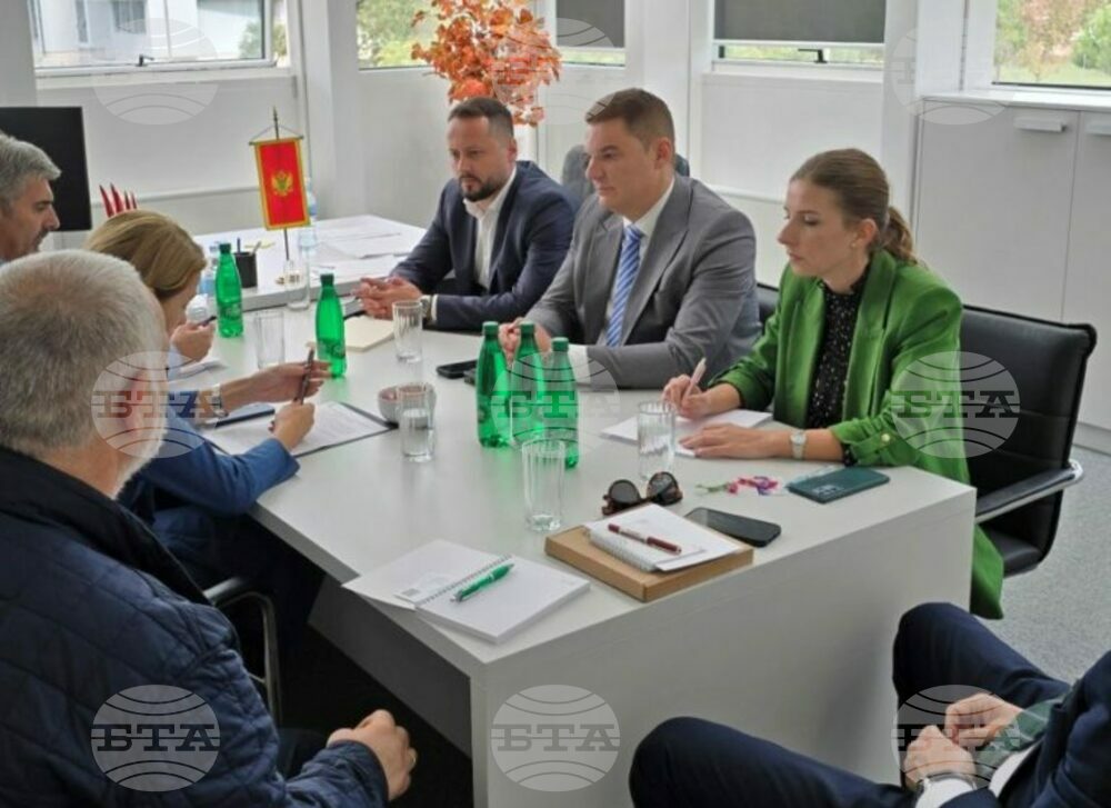 МИНА: Очаква се законодателството да създаде благоприятна бизнес среда в Черна гора
