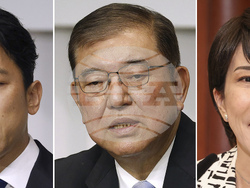 Japan Politics Election Explainers