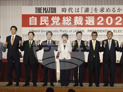 Japan Politics Election Explainers