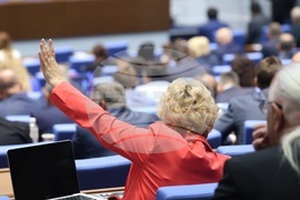 Народно събрание - заседание