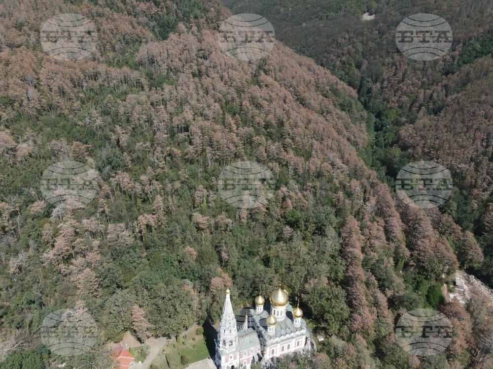 Липсата на грижа за горите води до природни бедствия, напомня браншова организация