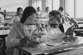 Медицински университет в Плевен