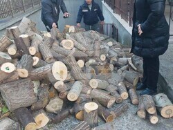 Снимка: Община Благоевград - Община Благоевград продължава да предоставя дървесина за огрев на хора в нужда  