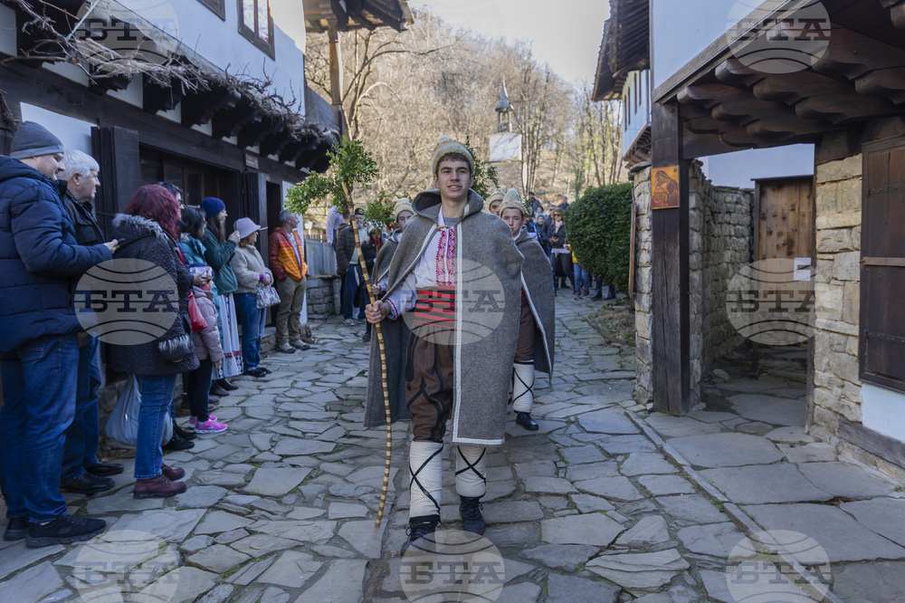 Коледари наричаха за здраве в музей "Етър"