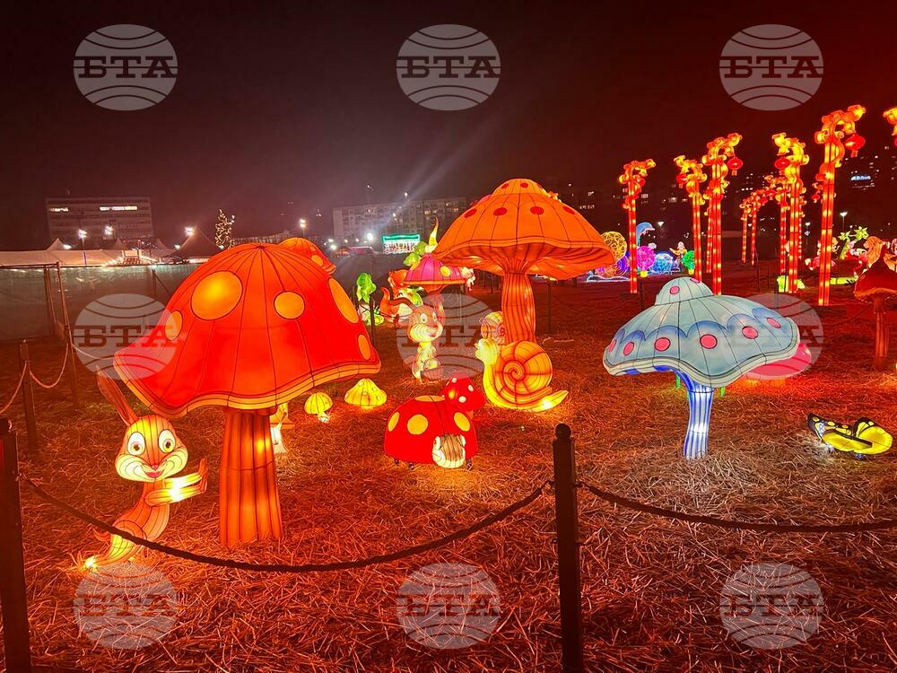 WinterLand Presents Over 170 Illuminated Installations in Sofia's Vazrazhdane Park