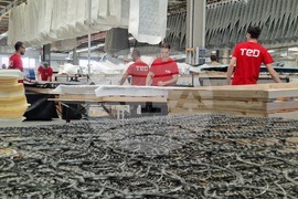 Пловдив - производствена база - матраци - TED