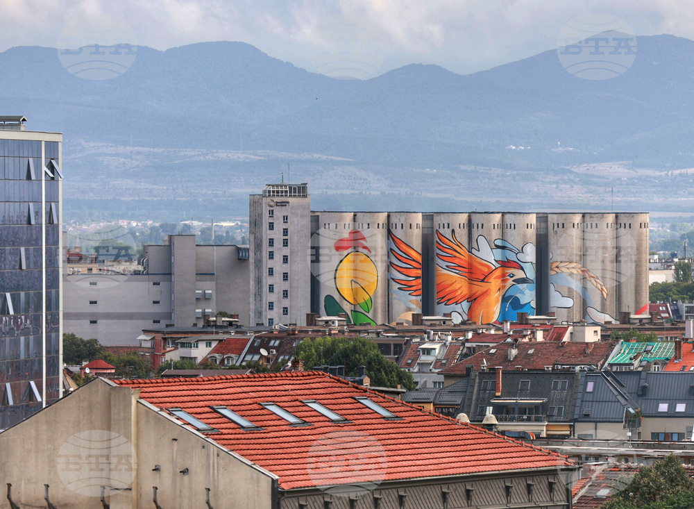 Sofia Local Authorities Use Help from Graffiti Artists to Give Facelift to Public Areas