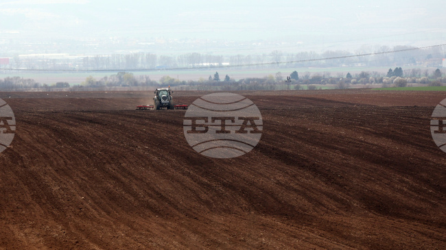 Над 150 800 лв. са приходите на Община Борован от общинска собственост за тази година, сочи информация от общинска администрация