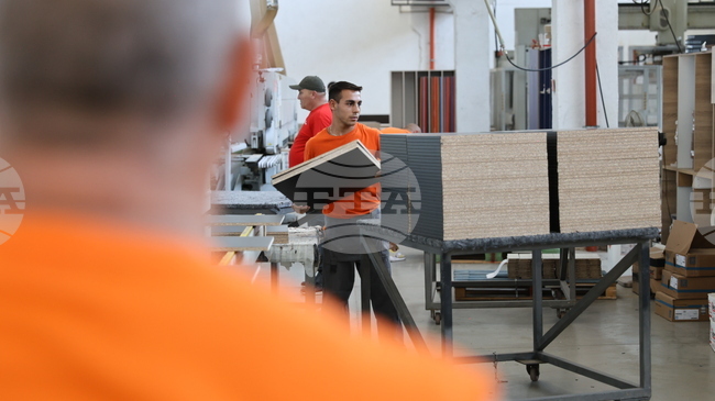 EUR 33 Mln to Be Allocated to Support Entrepreneurship, Social Economy