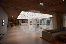 Германия - електромобили