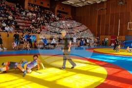 Търговище - свободна борба - международен турнир