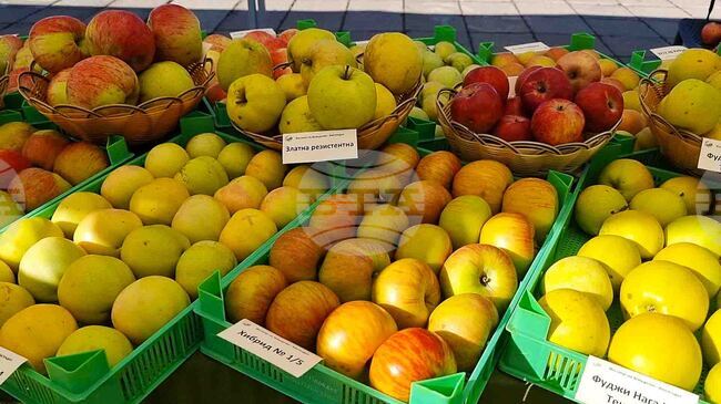 Fruit Prices Down in Past Week