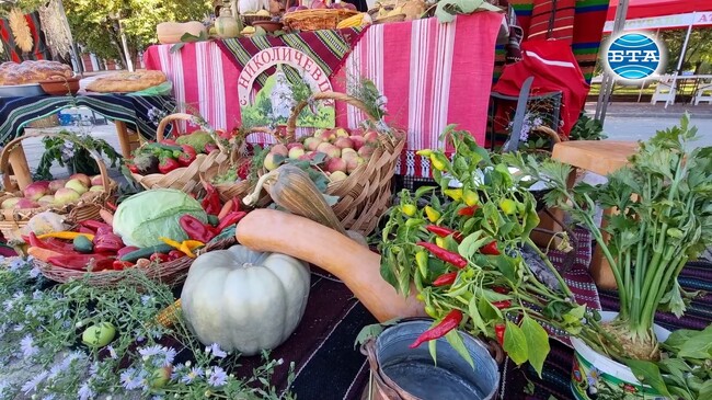 Институтът по земеделие в Кюстендил представи 95 сорта ябълки на Празника на плодородието в чест на 95-годишния си юбилей