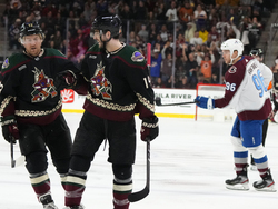 Avalanche Coyotes Hockey