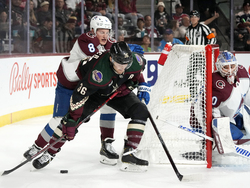 Avalanche Coyotes Hockey