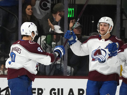 Avalanche Coyotes Hockey