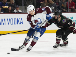 Avalanche Coyotes Hockey
