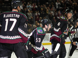 Avalanche Coyotes Hockey