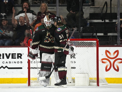 Avalanche Coyotes Hockey
