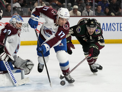 Avalanche Coyotes Hockey