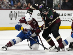 Avalanche Coyotes Hockey