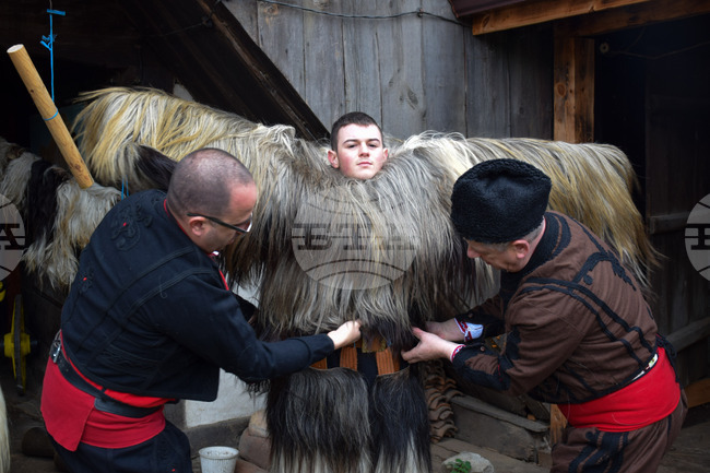 Разлог - кукери - подготовка - „Старчевата“