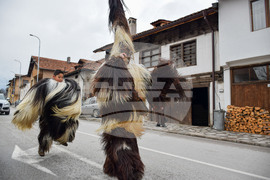 Разлог - кукери - подготовка - „Старчевата“