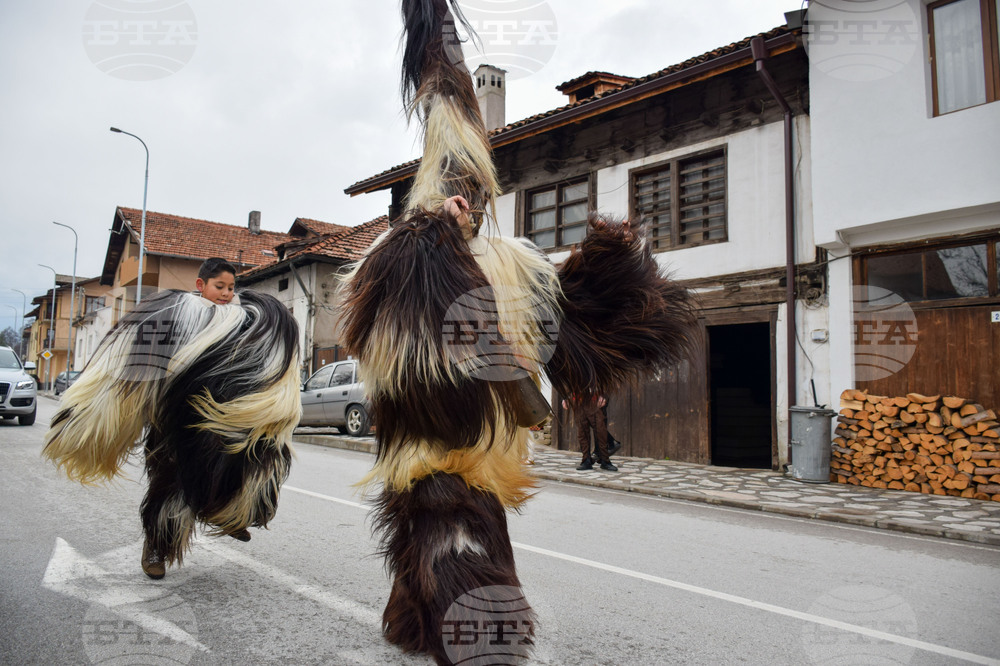 Разлог - кукери - подготовка - „Старчевата“